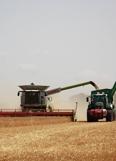 Navegue pela Categoria de Agronegócio