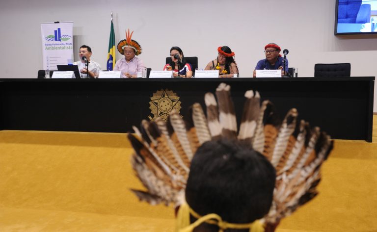 Representantes indígenas reivindicam maior participação política e proteção de terras em evento na Câmara